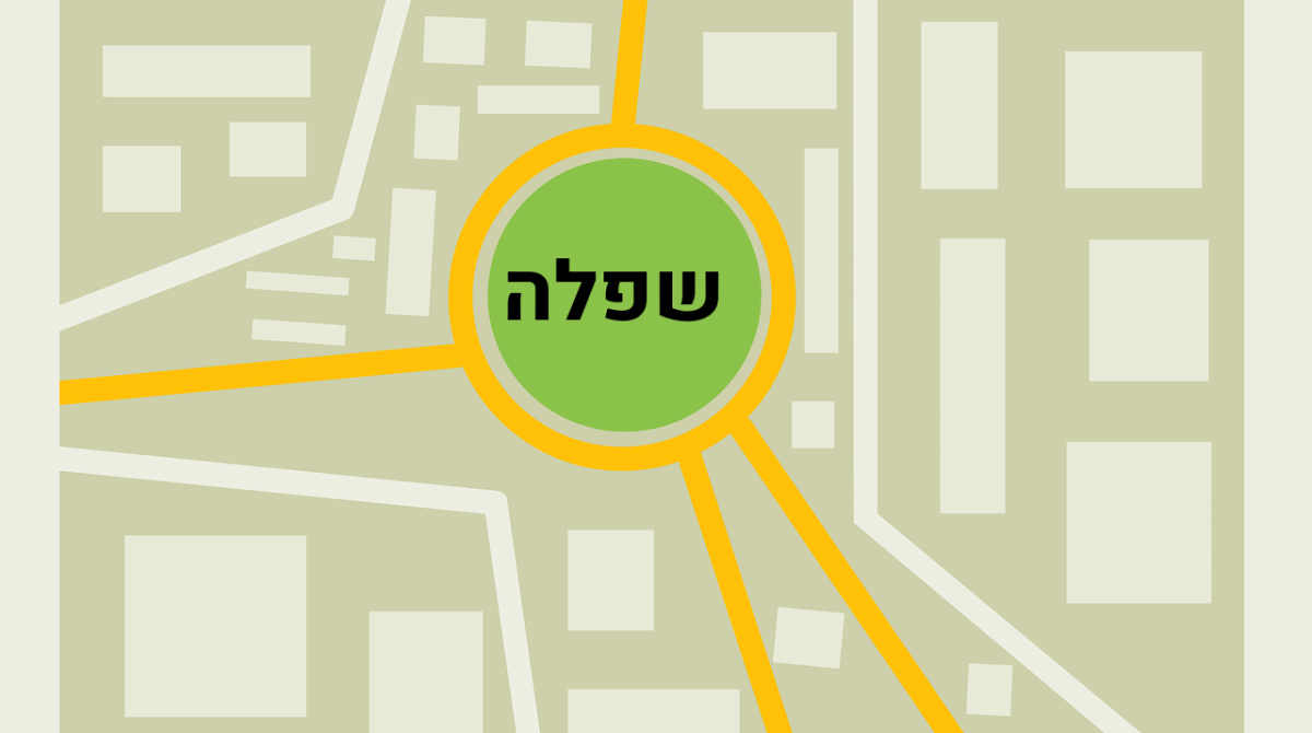 הובלות בשפלה